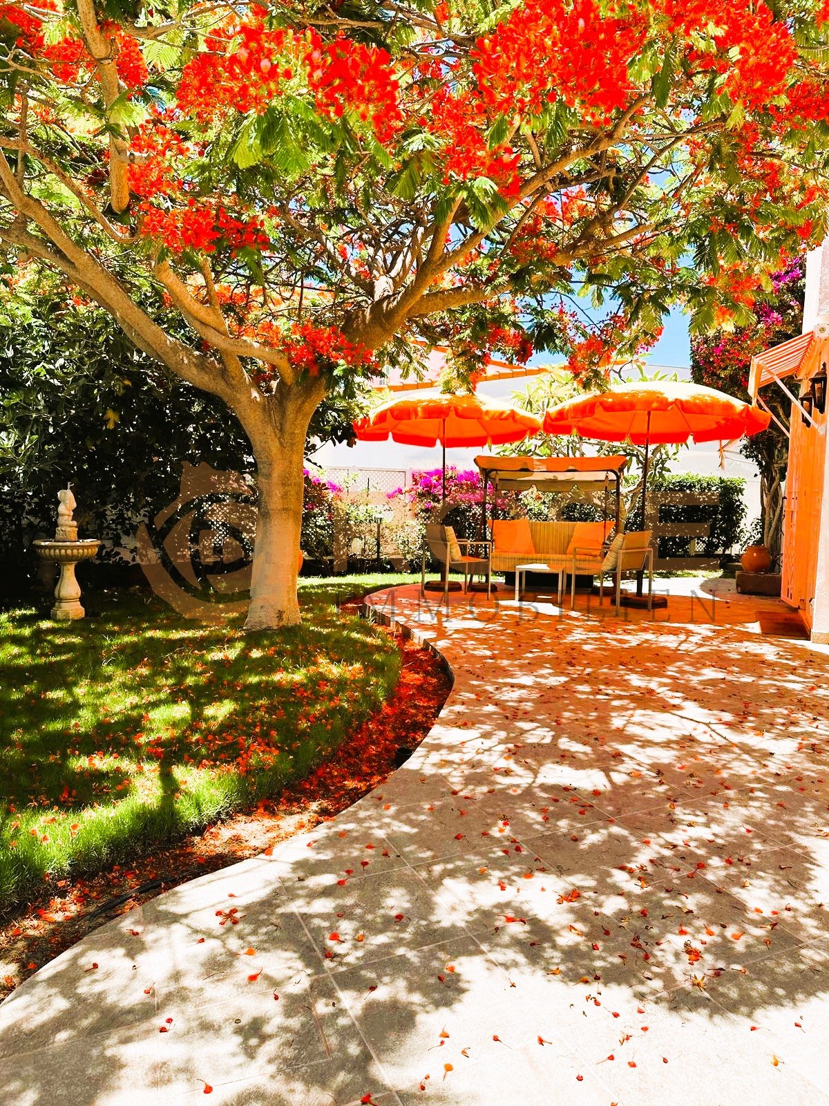 Top Aussicht - Großer Bungalow in Playa del Ingles zu verkaufen Top Aussicht - Großer Bungalow in Playa del Ingles zu verkaufen