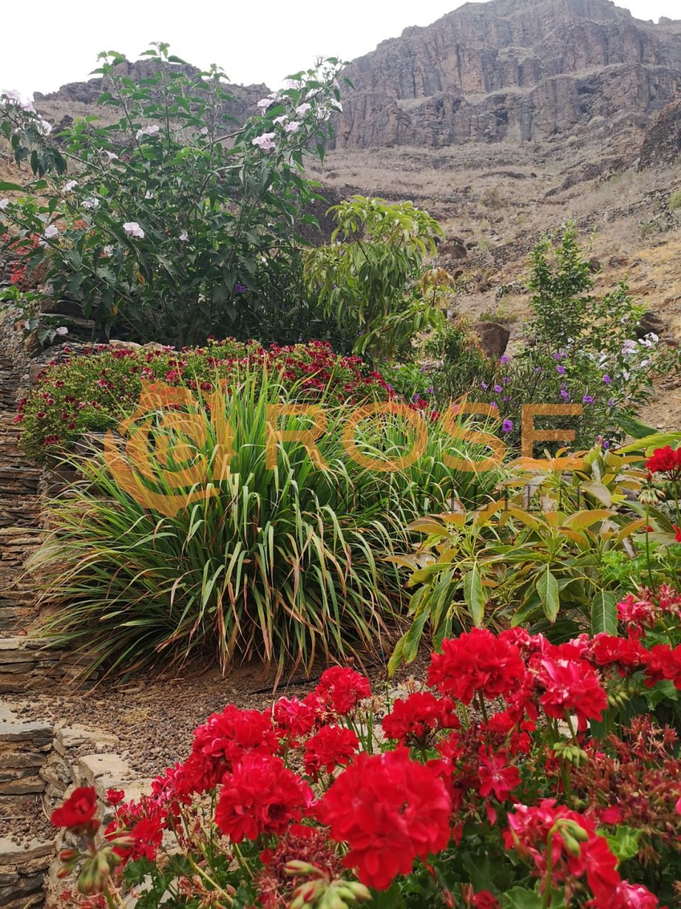 U Finca im Ayagaures Tal zu verkaufen